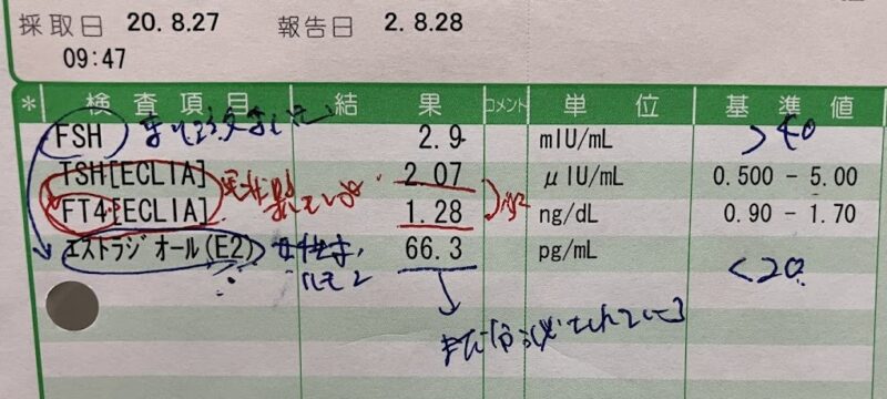 女性ホルモン値検査結果