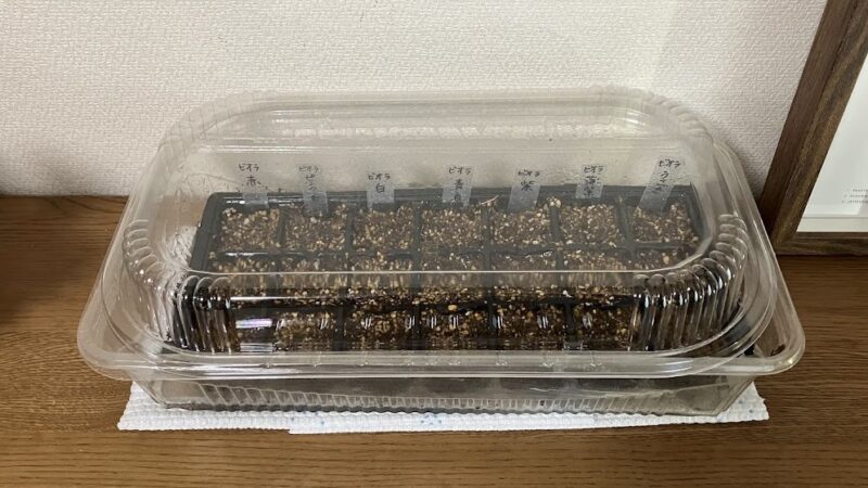 種をまいたセルトレイに透明の蓋をして室内のエアコン前において管理している。セルトレイにはラベルが立ててある。