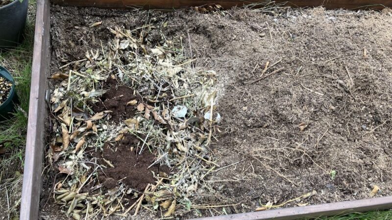 畑の土をよけ、植物残渣と米ぬかとカルスを投入している様子