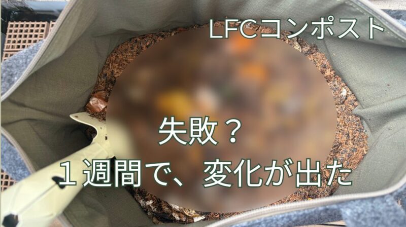 LFCコンポスト失敗？臭い・コバエ・分解しない…1週間後に変化が出た話