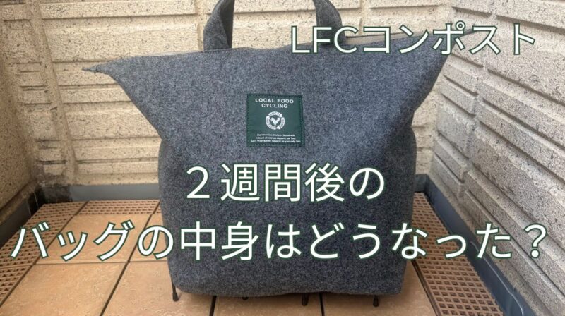 LFCコンポスト2週間経過｜分解が進んできた？臭いと虫のリアルな様子