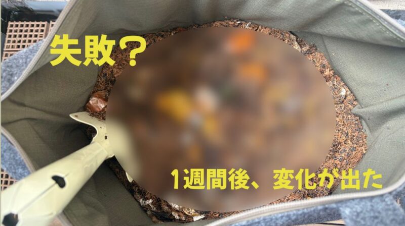 LFCコンポストを1週間試したバッグ内のようす
