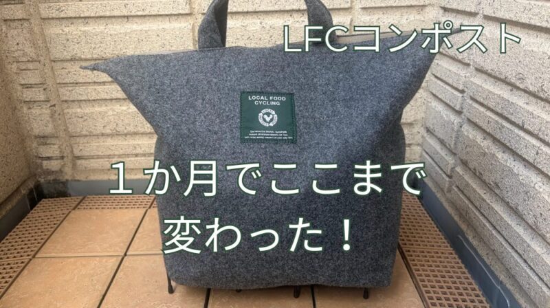 １か月後のバッグの変化